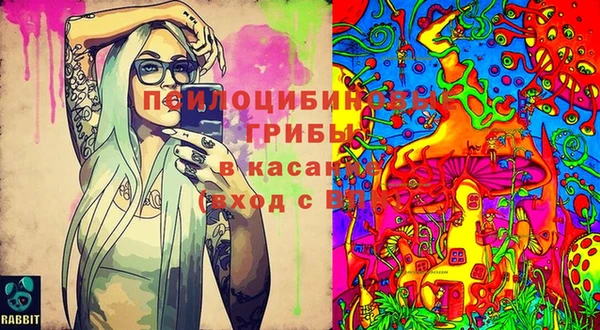 меф Арсеньев