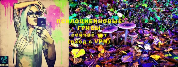 ГАЛЛЮЦИНОГЕННЫЕ ГРИБЫ Армянск