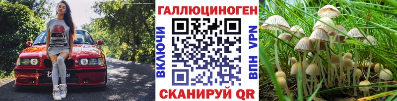Псилоцибиновые грибы GOLDEN TEACHER  купить закладку  Северо-Курильск 